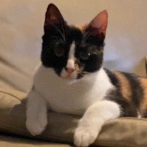 Meet your Posher, Kylie